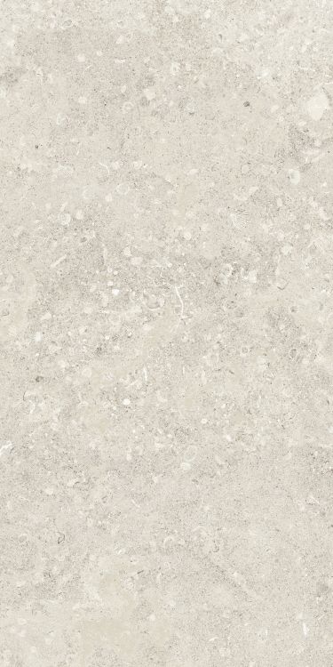 Sea Luster Avorio Matte 24 x 48